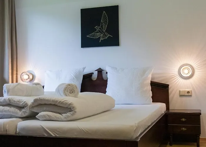 International House Deluxe Zw 13 Apartment